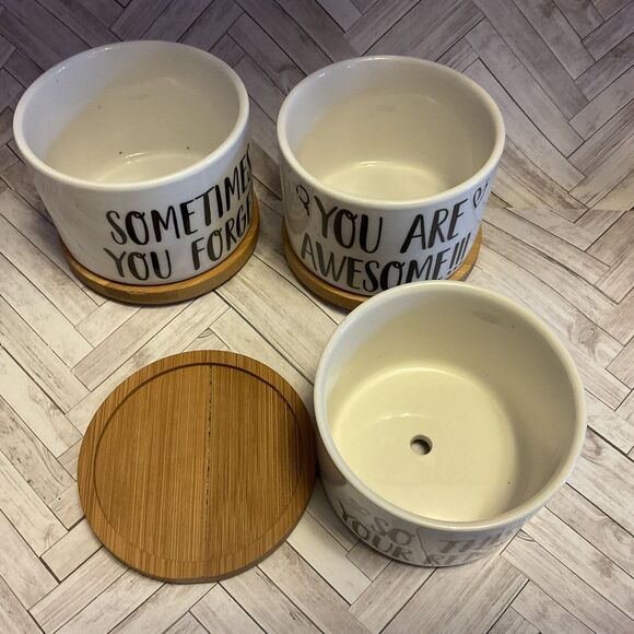 Ceramic Succulent Planters With Bamboo Bases Set Of Three New - Picture 3 of 3
